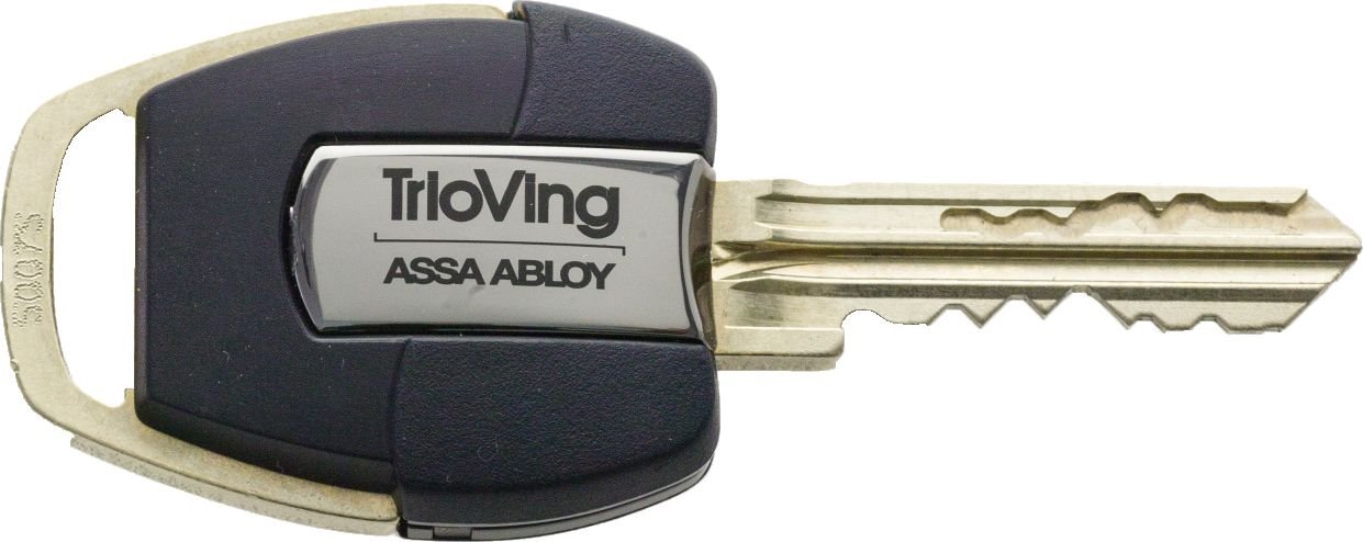 Image: No description