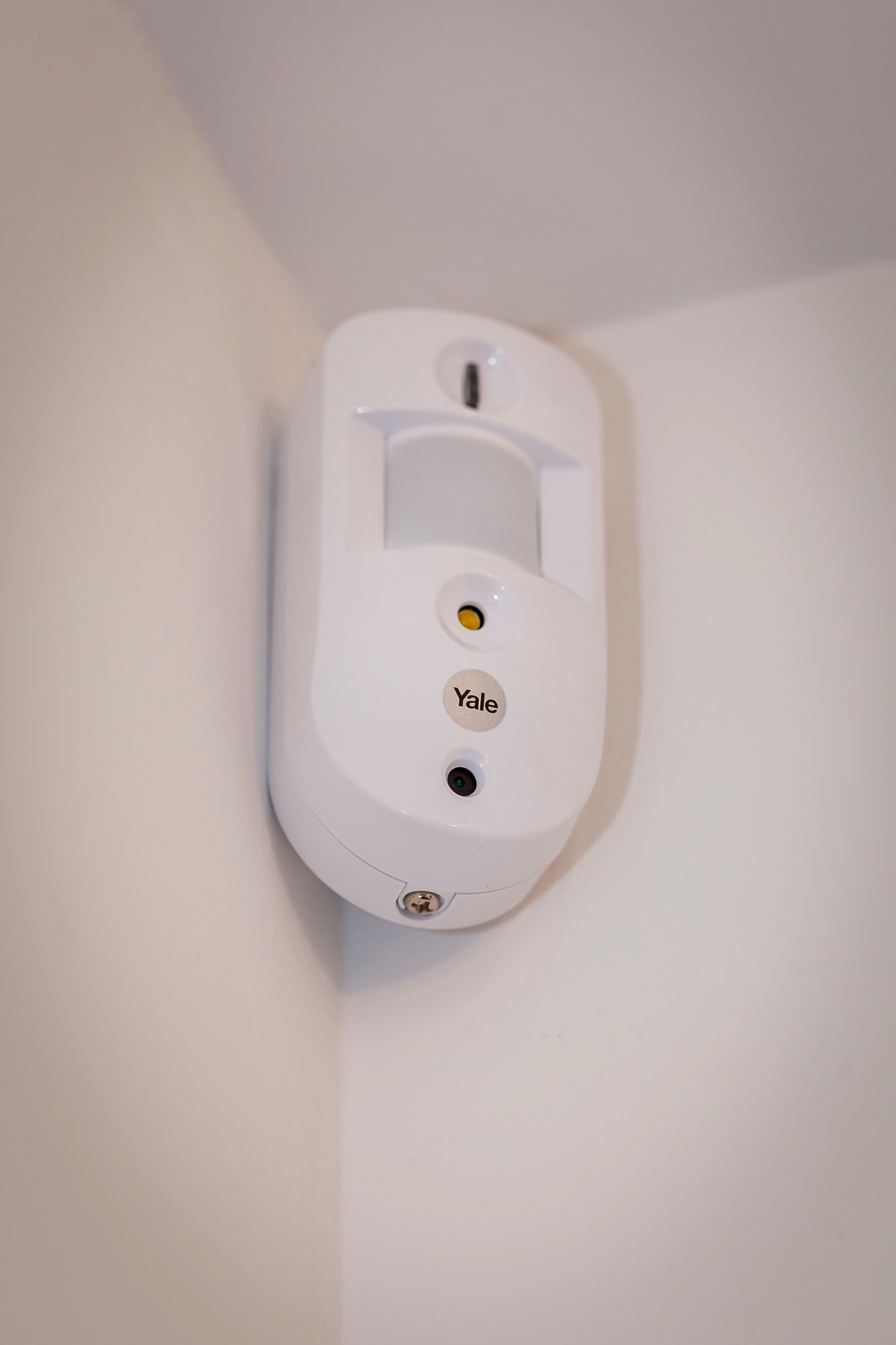 Image: No description