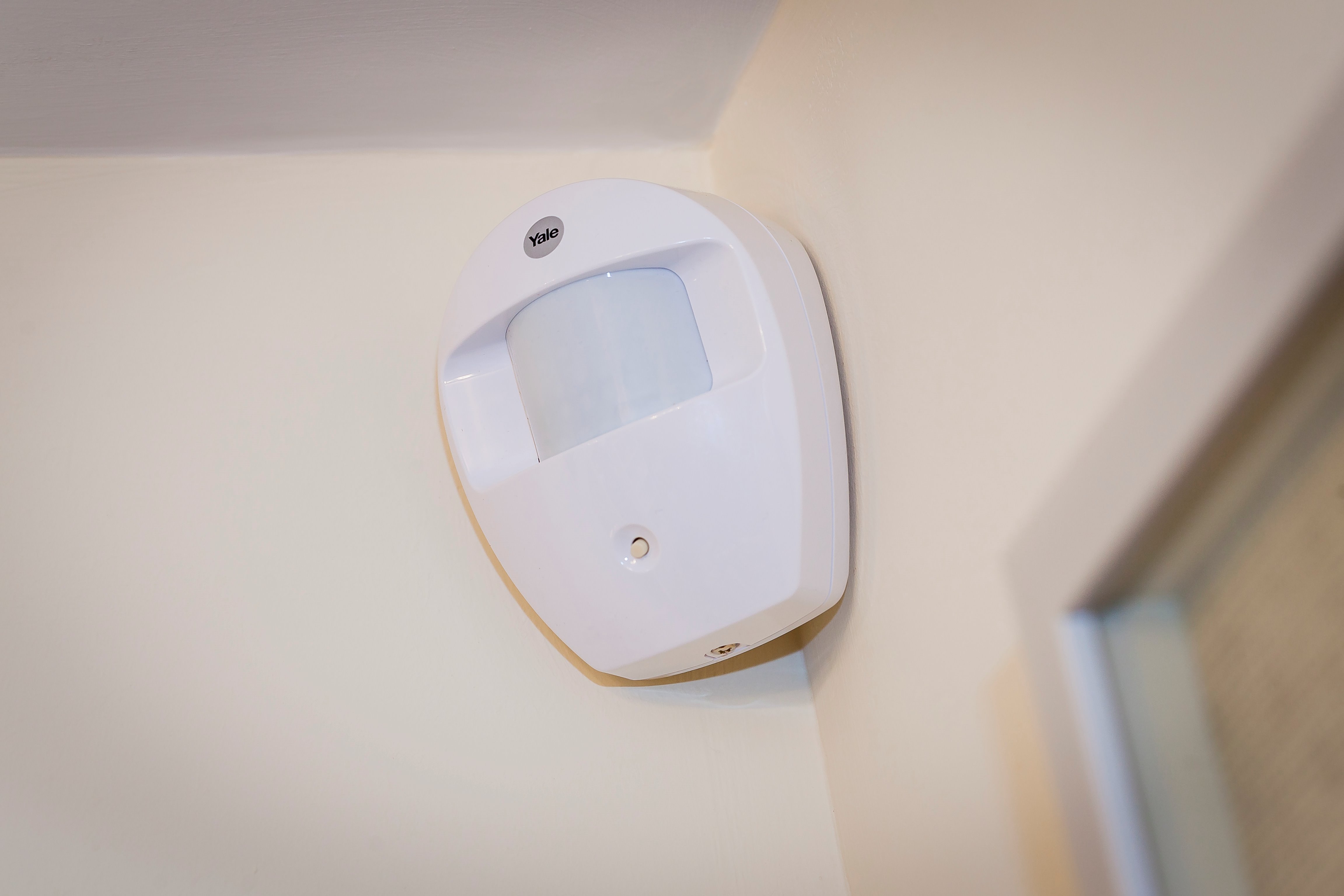 Image: No description