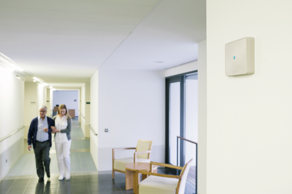 Image: No description