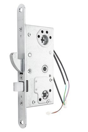 Image: No description