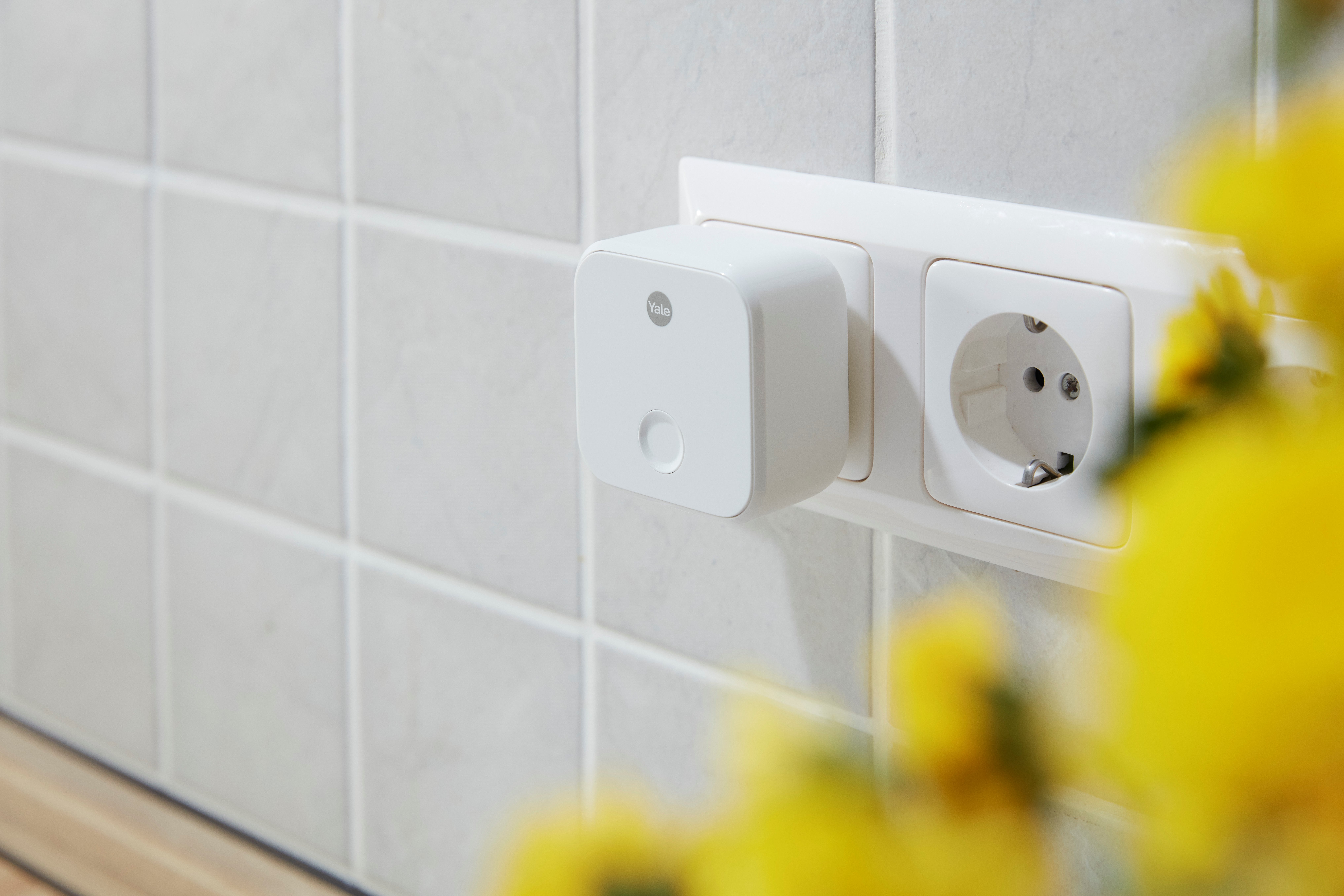 Image: No description